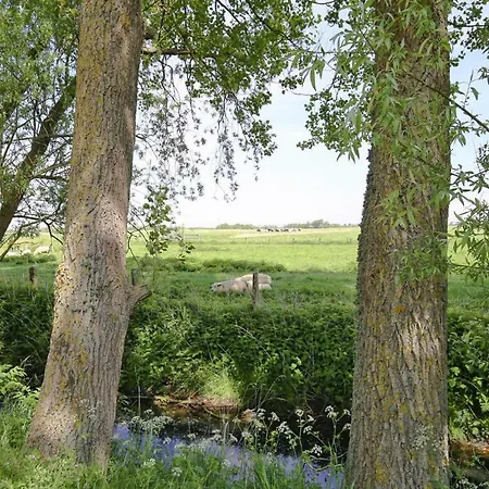 Mill - Dns09043-f Dom wakacyjny Garding